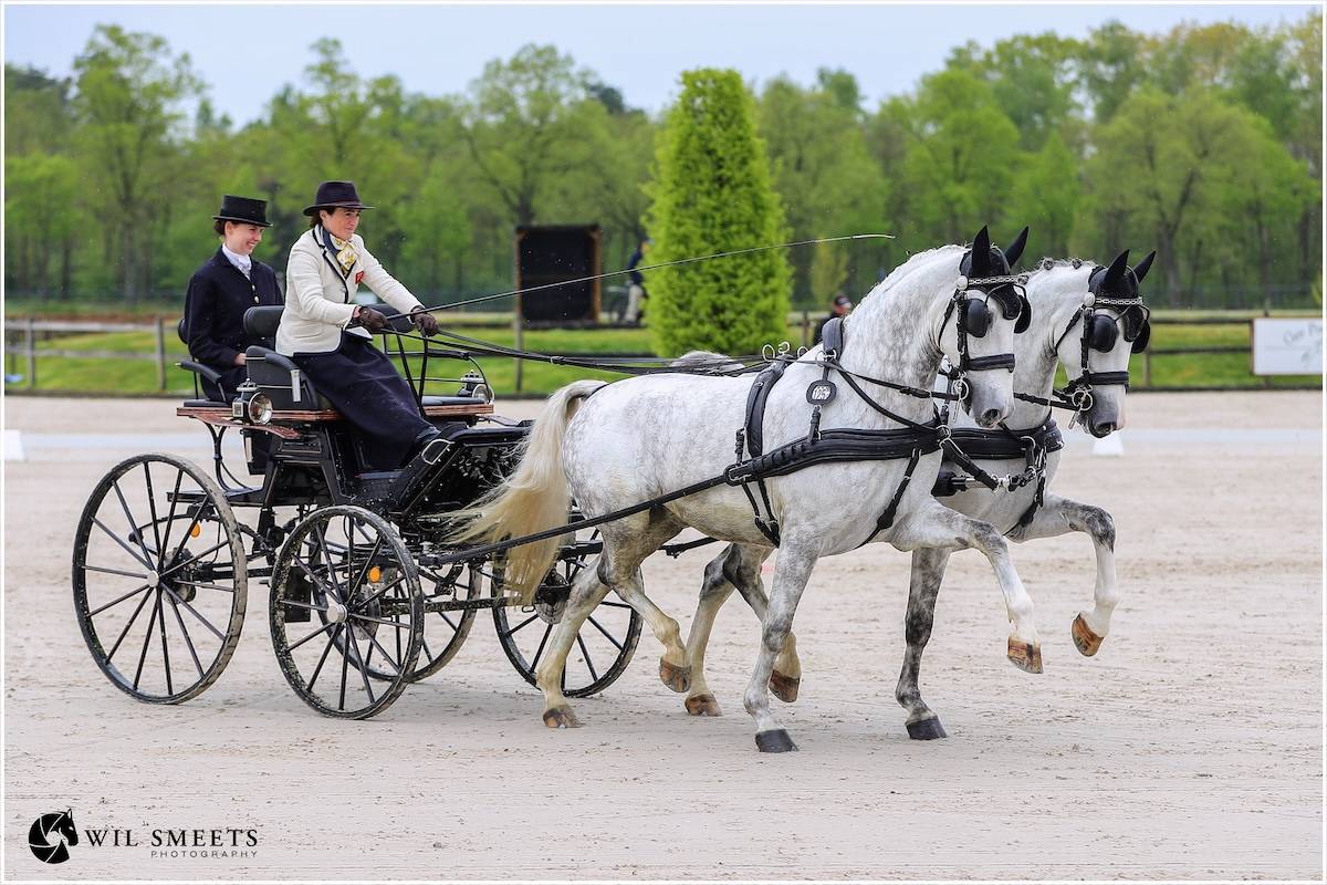 Kronenberg 2025: Dressage