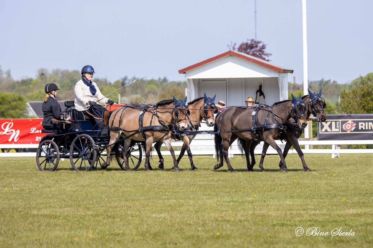 Morkov Raevebjerg 2025: Dressage